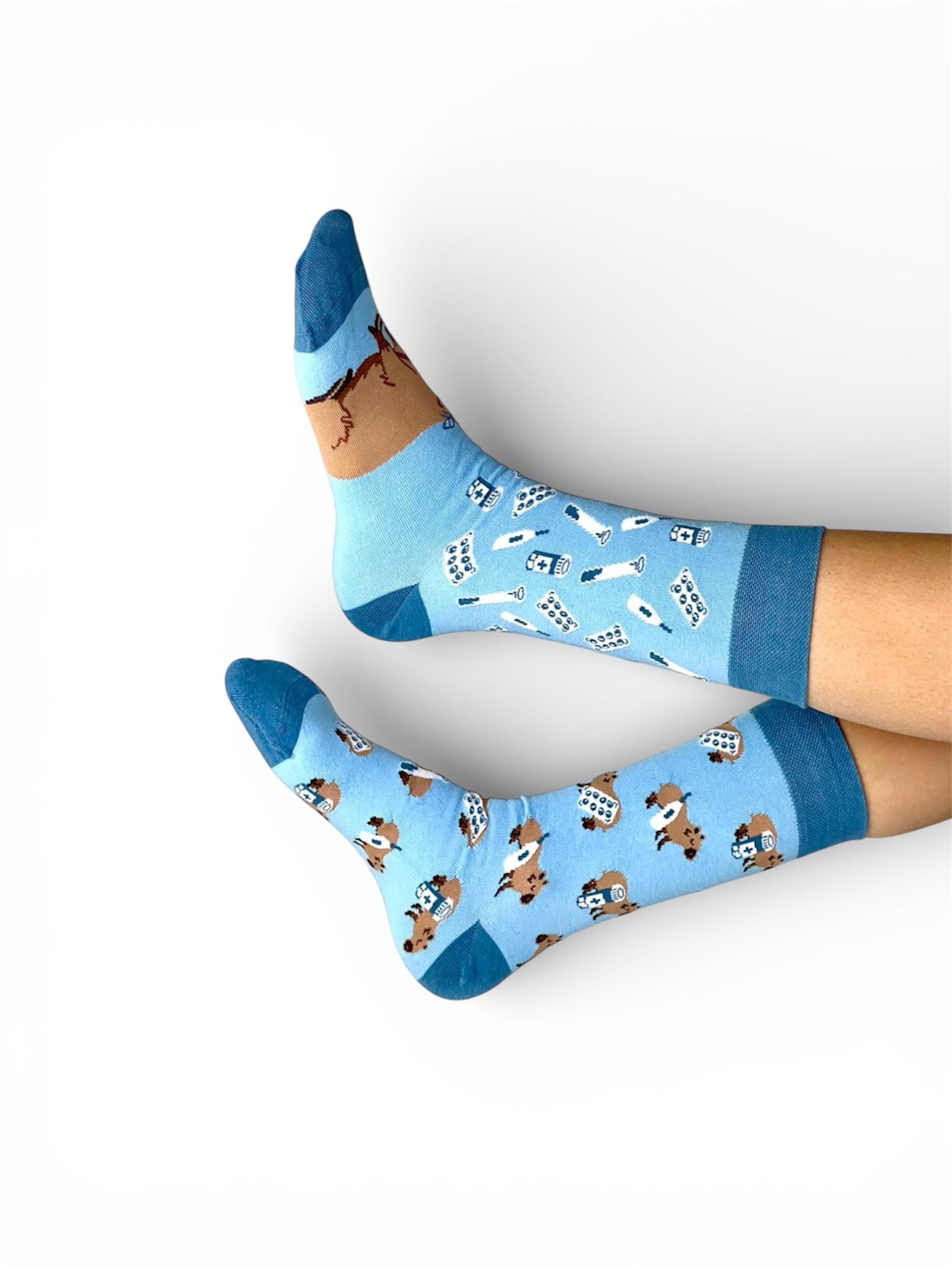 MedSocks Capybara socks