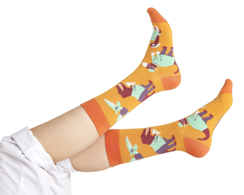 Dino socks 🦖